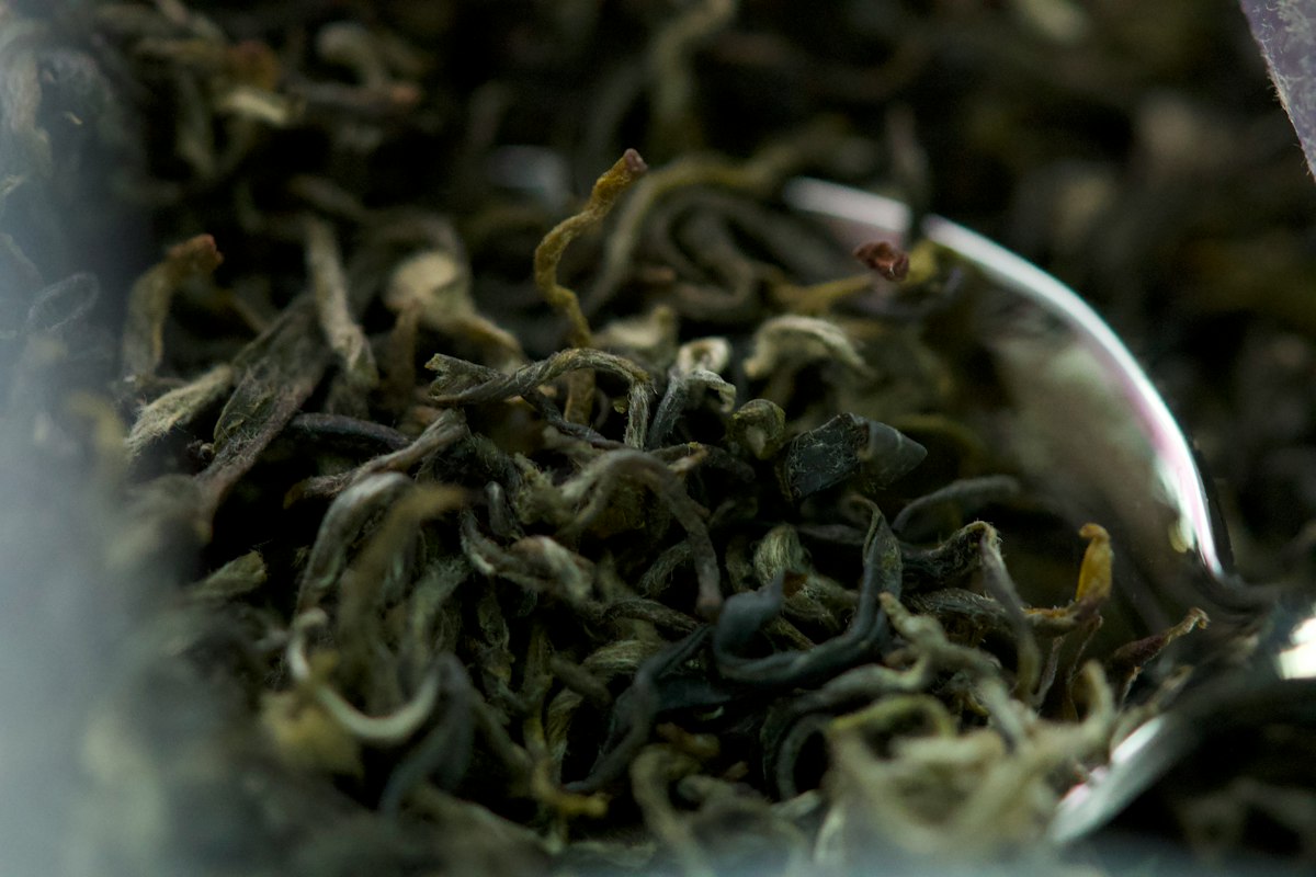 Traditional tea ceremony and appreciation